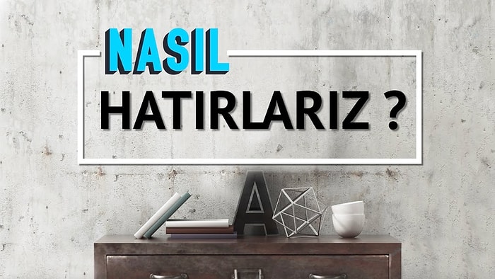 Unuttuğumuz Şeyleri Nasıl Hatırlarız?