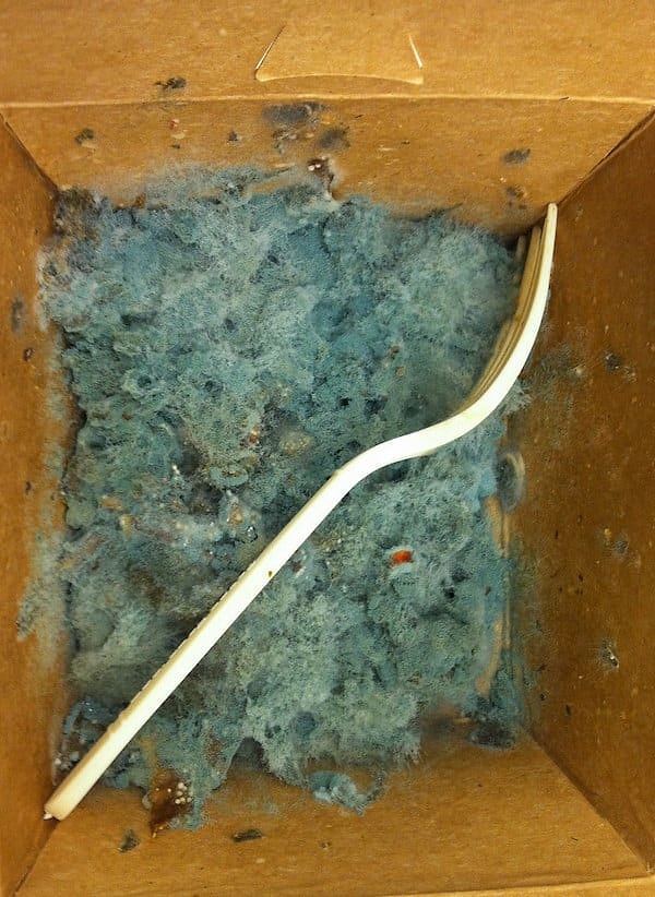 11. Похоже на морское дно....