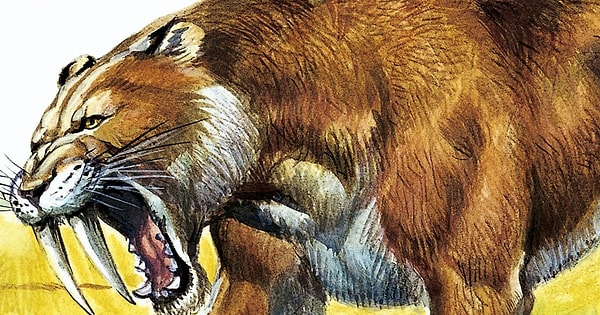 6. 99% живых существ, обитавших на нашей планете, вымерли