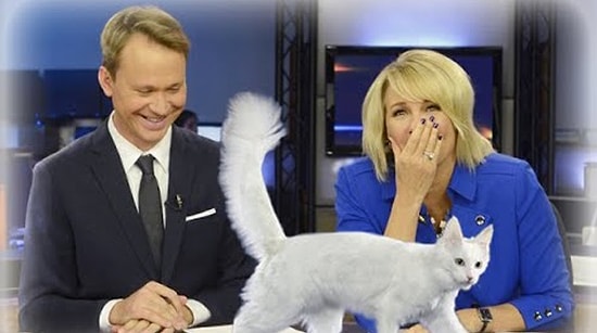 Убойные ляпы и приколы в прямом эфире