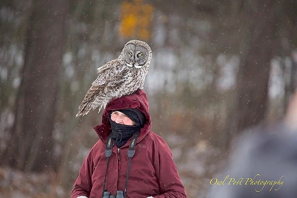 7. Ура! Этому фотографу все-таки принесли письмо из Хогвартса!