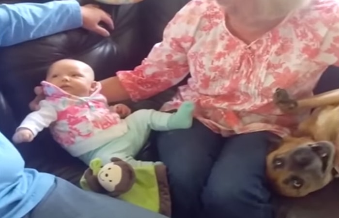 Hareketleriyle Gülümseten Köpeğin Kendini Bebek Zannetmesi