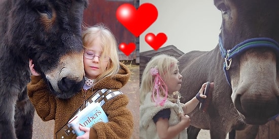 Sevginin En Saf Hali! Terapi Eşeğine Söylediği Sihirli Sözler ile Herkesi Şaşırtan Dilsiz Kız