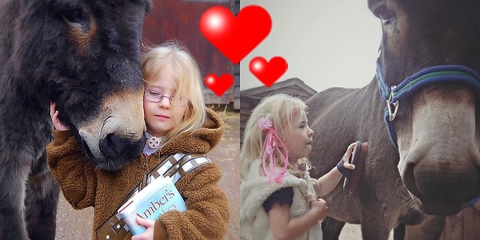 Sevginin En Saf Hali! Terapi Eşeğine Söylediği Sihirli Sözler ile Herkesi Şaşırtan Dilsiz Kız