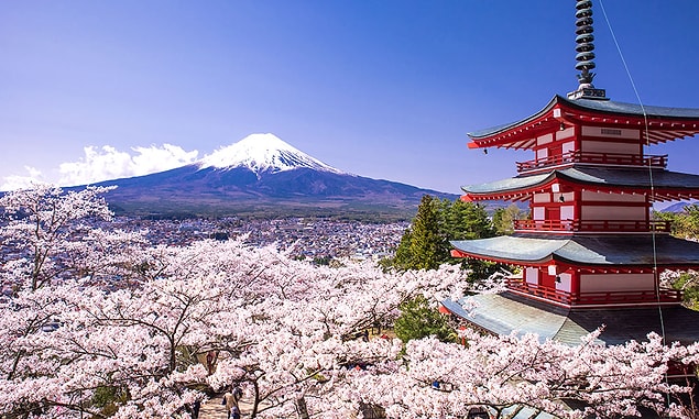 5. Hangisi Japonya'nın milli çiçeğidir?