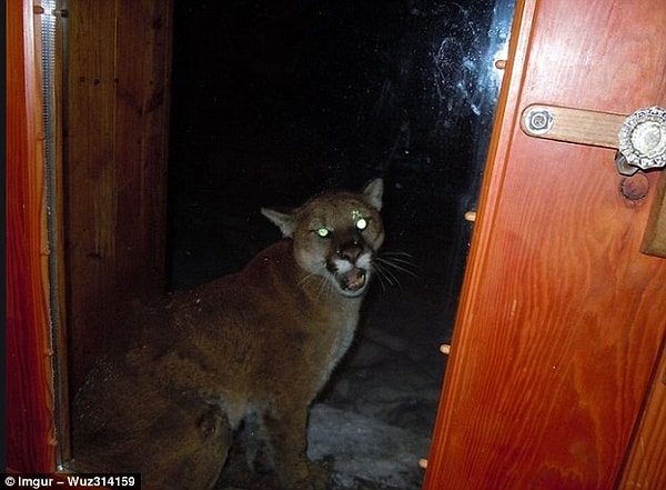 8. Дорогая, я дома!