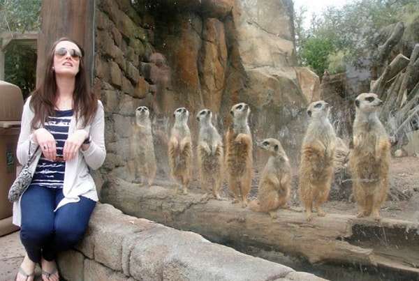 13. Обычные флешмобы уже неактуальны