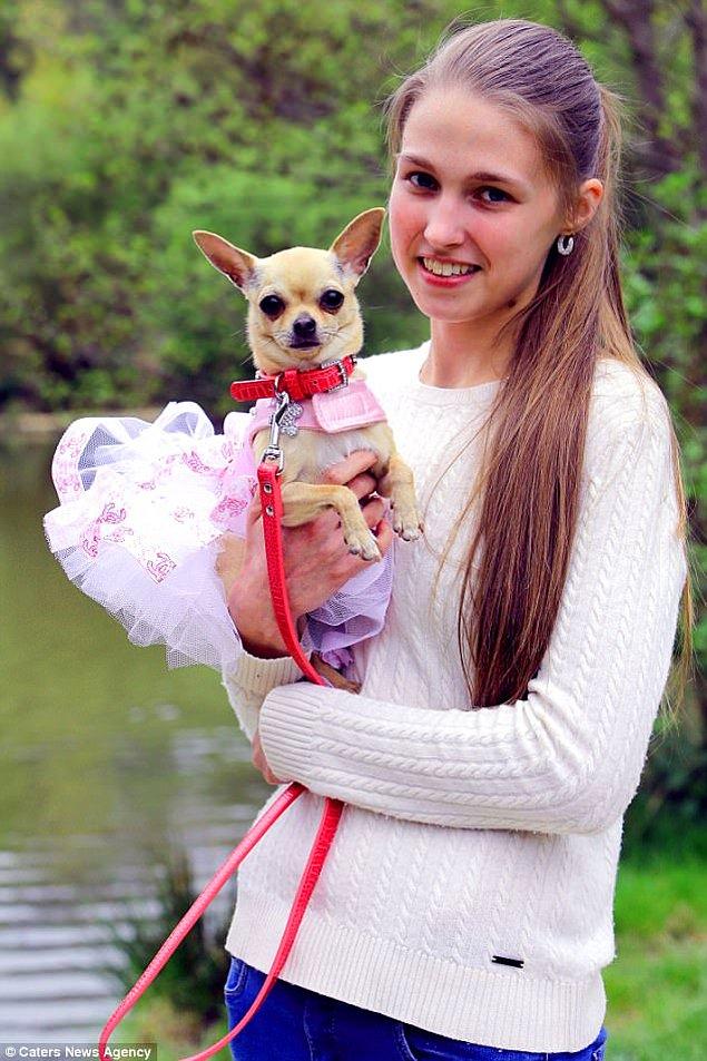 20 yaşındaki köpek bakıcısı Sian Butler, Lilly adındaki chihuahua'sının kendinden daha güzel giyindiğini söylüyor.