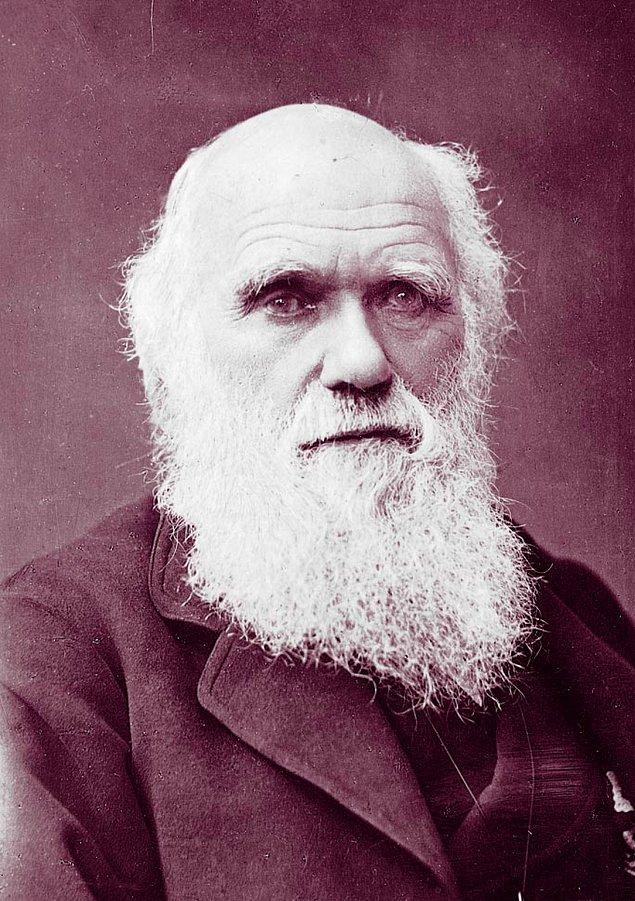3. Charles Darwin (Biyolog) & 00.00 - 07.00 ve 15.00 - 16.00: Kısa uyku