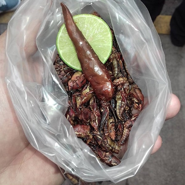 3. ''Chapulines'' - Мексика