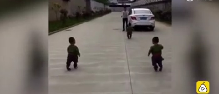 Bacakları Biraz Daha Uzun Olsa Daha Hızlı Koşup Babalarını İşe Kadar Takip Edecek Sevimli Ufaklıklar