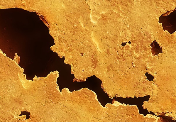 11. Печеньки судьбы: