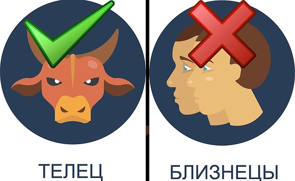 Идеальный партнер: Телец. Ужасный партнер: Близнецы.