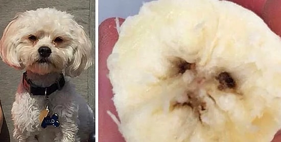 20 фото о том, что мы видим лица повсюду