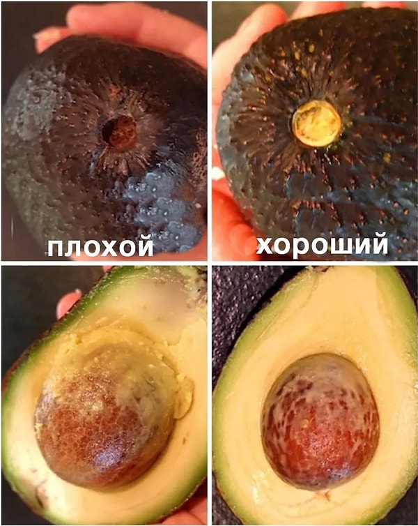 7. Проверьте хвостик у авокадо, чтобы узнать, насколько он созрел