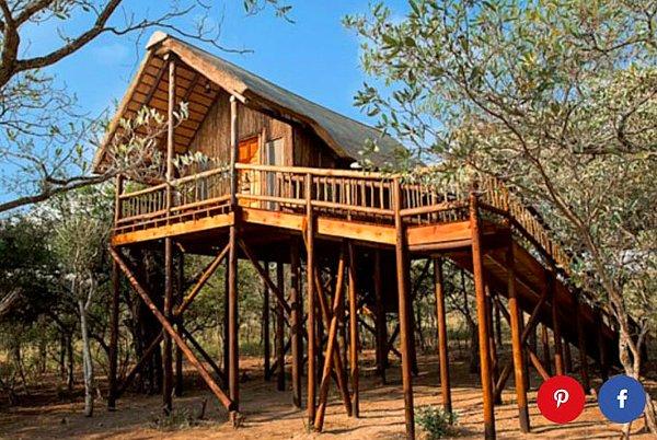14. ''Safari Tree House'' - Limpopo, Güney Afrika