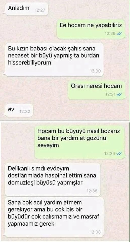 Domuzleşi büyüsü