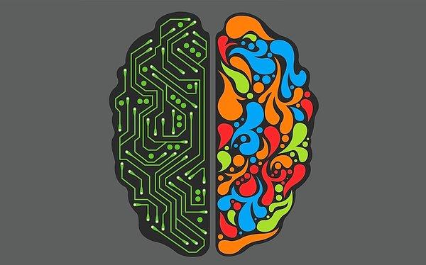 13. Sol beyin analitik, sağ beyin ise yaratıcıdır.