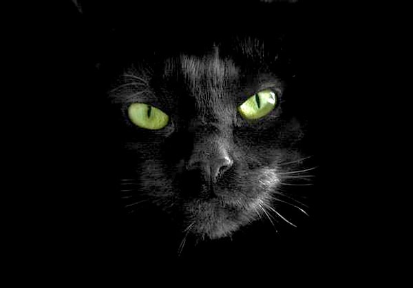 Чёрный - цвет самозащиты и самоанализа