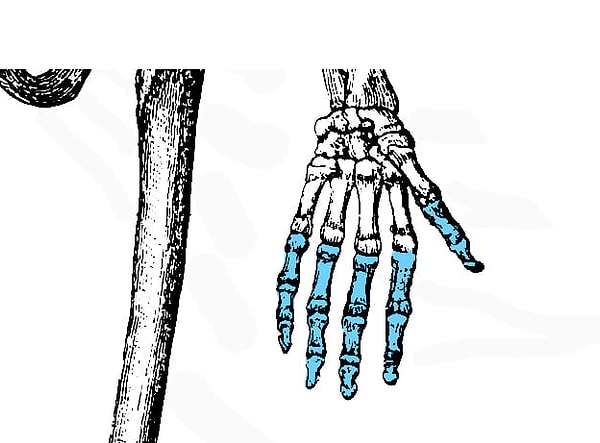 6. А те, что ниже?