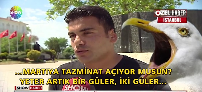 Kavgada Kopan Kulağını Martıya Kaptıran Talihsiz Genç