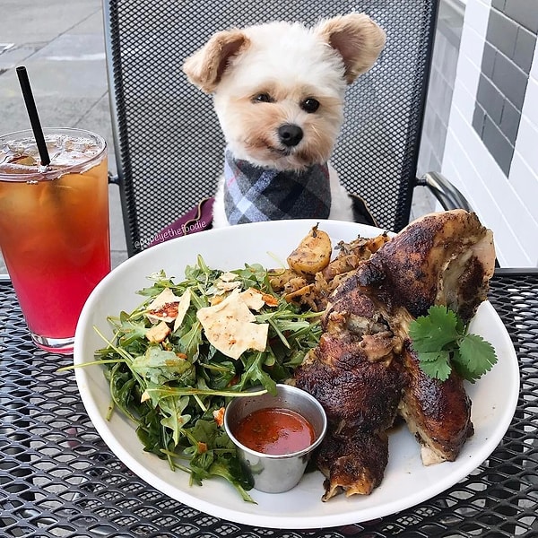 Вы - истинный гурман