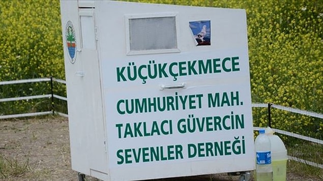4. Dernek binası da gökdelen gibiymiş maşallah...