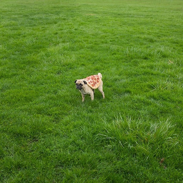 3. Две мои любимые вещи. Вопрос только, зачем?