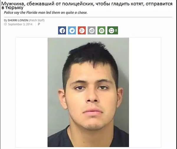 6. Это ж насколько милые были котята?