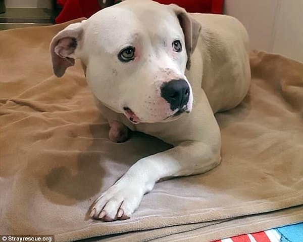 5. Почему они сделали это только 5 лет спустя и после такого трагичного происшествия, остается загадкой.