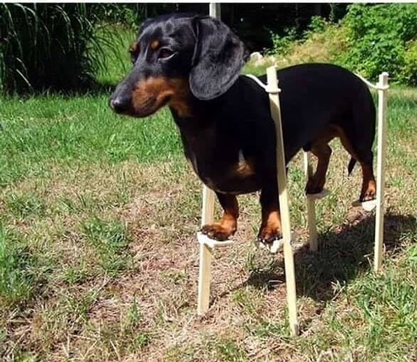 1. Порой вам кажется, что мир создан для высоких людей. Но вы всегда находите, чем компенсировать недостаток роста