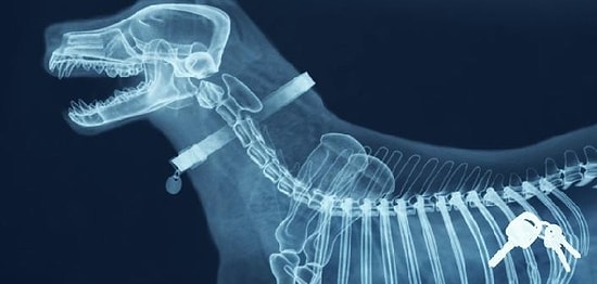 12 нужных вещей, которые постоянно теряются, и этим приводят нас в бешенство!