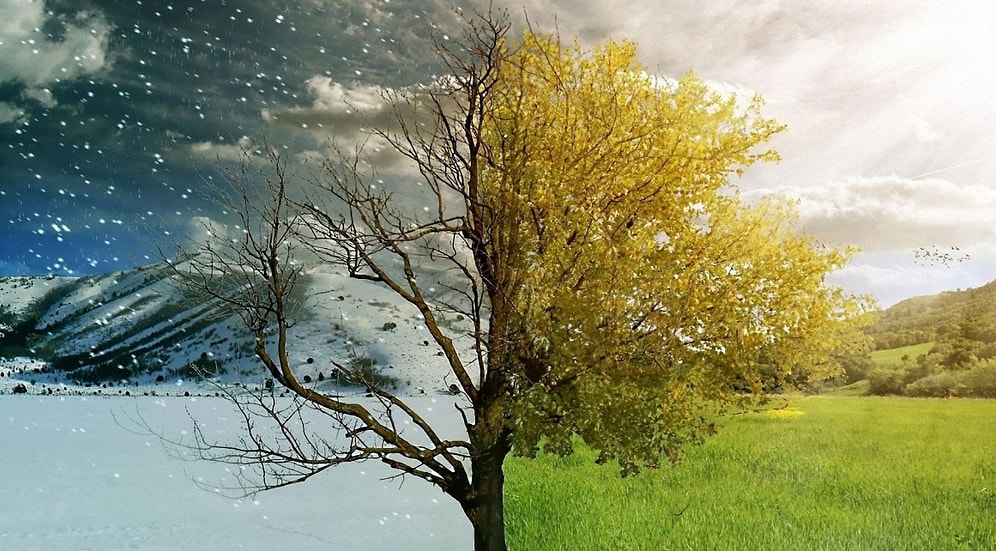 10 брутальных фактов о русской зиме или почему нашу страну никогда не победить