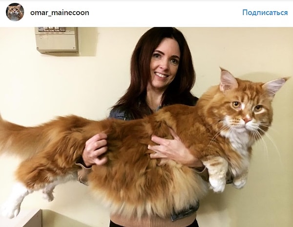 10. Для тех, кто хочет увидеть еще больше фото Омара, мы оставили ссылку на его Instagram 👇 У него там, кстати, уже 25,4 тыс. подписчиков