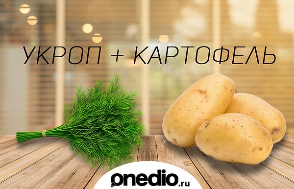 5. Сочетание, близкое и знакомое каждому. Между просто отварной картошкой и отварной картошкой с укропом пролегает огромная пропасть. Невозможно поверить, что творцом чуда выступила эта простая травка. А уж если речь заходит о молодом картофеле...