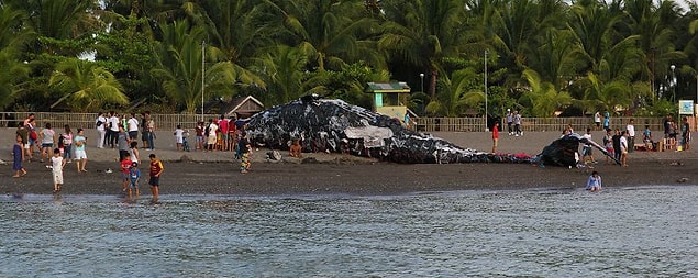 The dead whale installation is the perfect symbol of our ocean’s impending doom from plastics pollution.