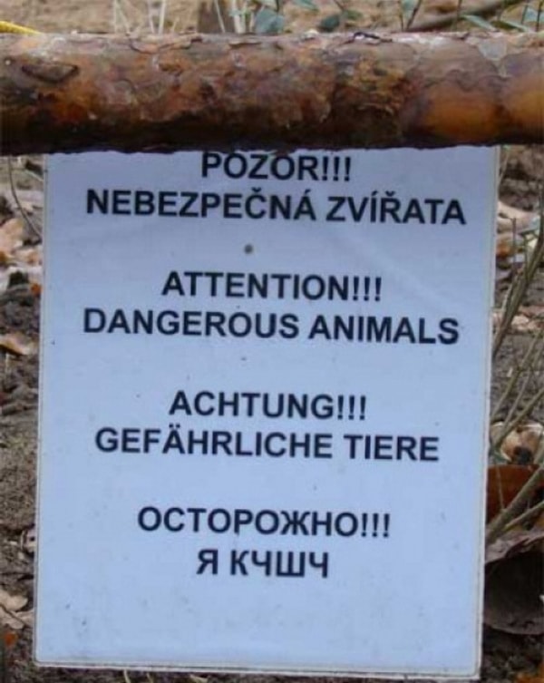 19. Уже боюсь