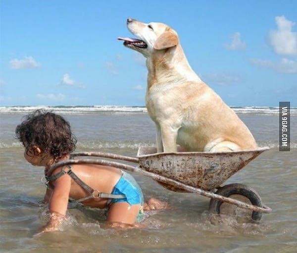 19. Без комментариев