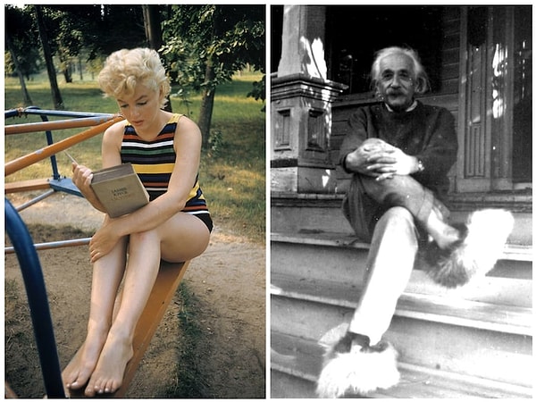 6. IQ Мерилин Монро был выше, чем у Эйнштейна