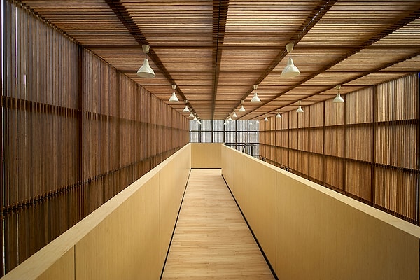 После биеннале в деревне появятся туристическо-информационное бюро, гостиница, пансион, а также учебный центр.