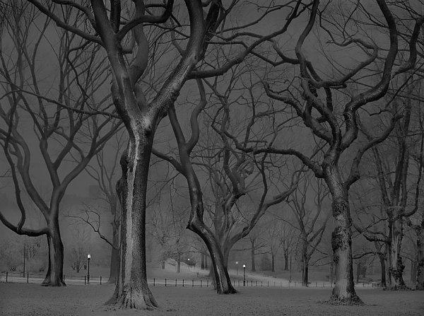 5. Ağaçlı yol, 04:00, 2013