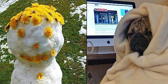 Эти 15 постов, посвященных сумасшедшей погоде в этом мае, заставят вас хохотать