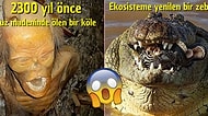 Ekosistemin Korkutucu Yüzüne Tanıklık Ederken Hayretlere Düşeceğiniz 21 Görüntü