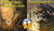 Ekosistemin Korkutucu Yüzüne Tanıklık Ederken Hayretlere Düşeceğiniz 21 Görüntü