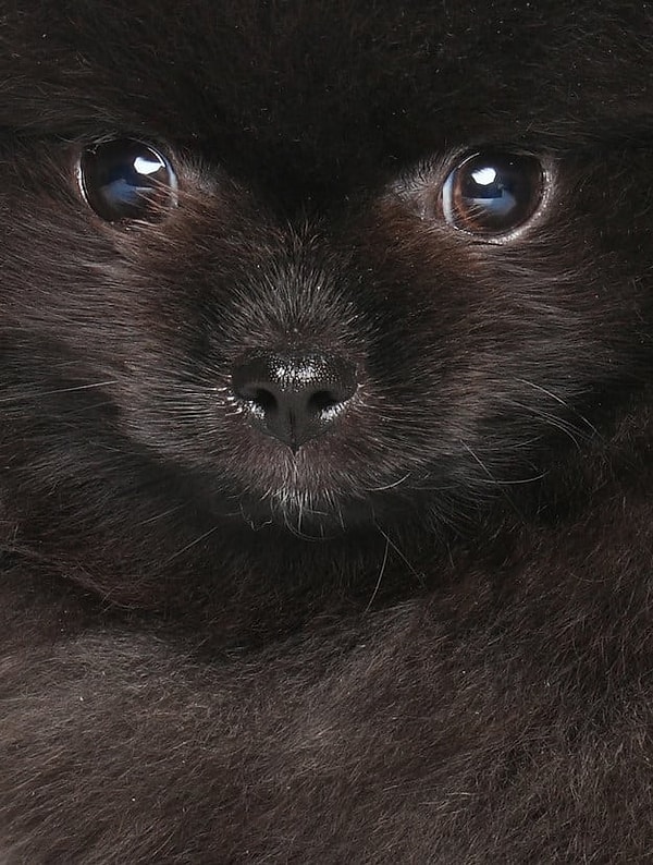 Посмотреть ответ: