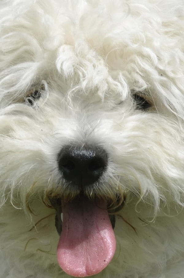 Посмотреть ответ: