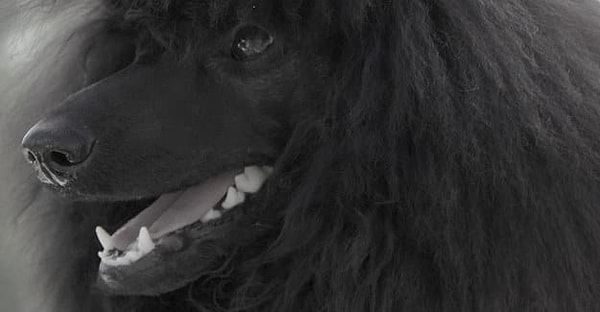 Посмотреть ответ: