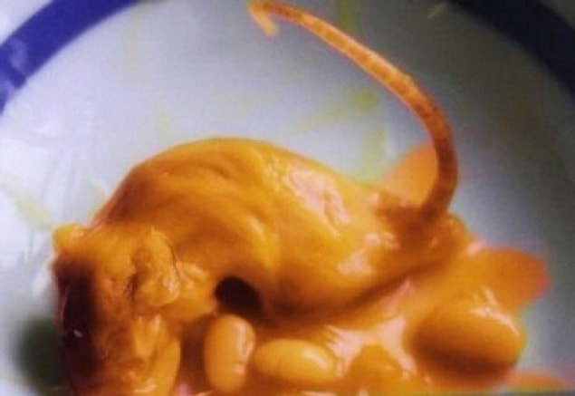 11. Yes, what you're looking at is a rat covered in curry sauce. 😕