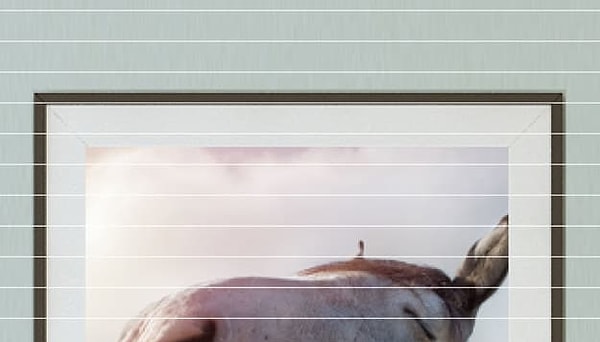 Посмотреть ответ: