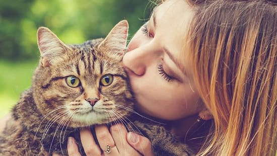 Dünyanın En İyi İşlerinden Biri: Yapacağınız Tek Şey, Tüm Sevginizle Kedileri Okşayıp, Kucaklamak!